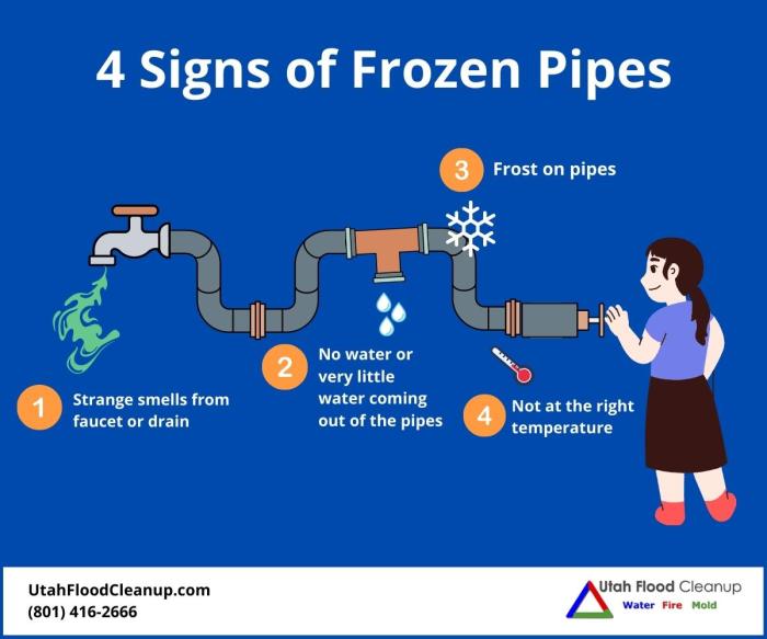 10 Common Causes of Frozen Pipes and How to Diagnose Them