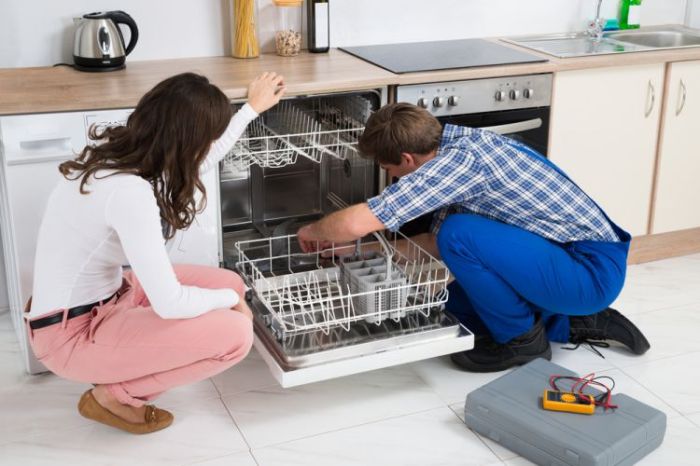 5 Methods to Diagnose a Problem with Your Dishwasher