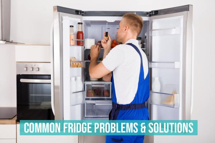 10 Troubleshooting Steps for a Malfunctioning Refrigerator