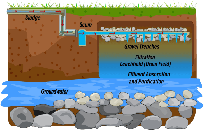 9 Signs Your Septic System Is Failing