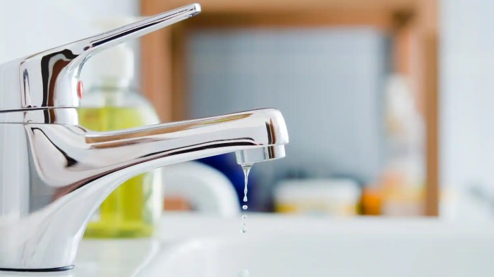 7 Steps to Diagnose a Leaky Faucet