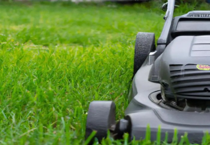 How to Diagnose 4 Common Problems with Your Lawn Mower